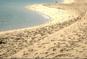 Beach Cleaning UAE